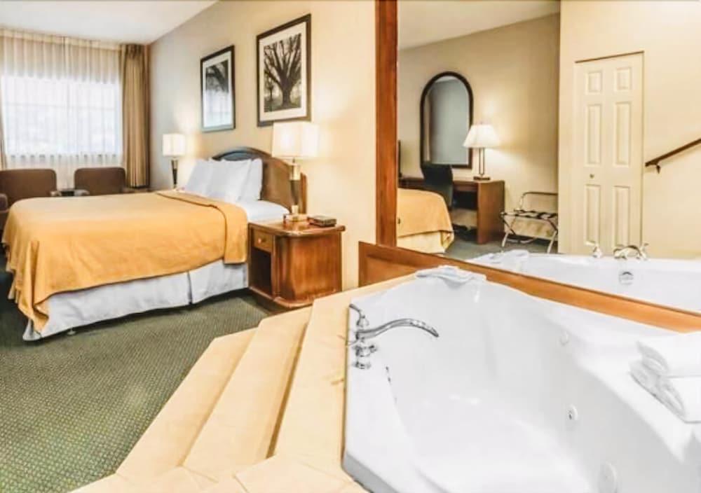 Art Infiniti Hotel Pitt Meadows Eksteriør billede