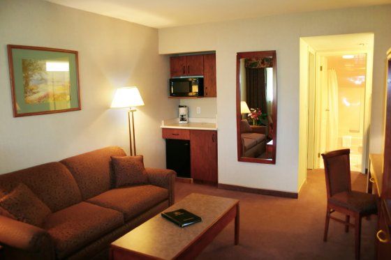Art Infiniti Hotel Pitt Meadows Værelse billede