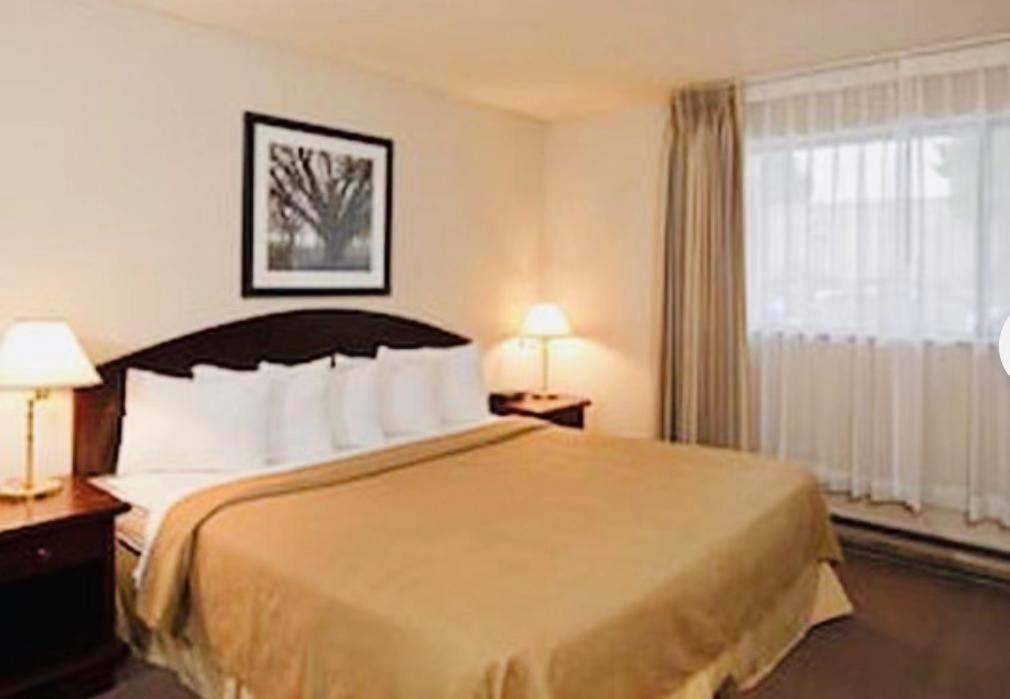 Art Infiniti Hotel Pitt Meadows Eksteriør billede